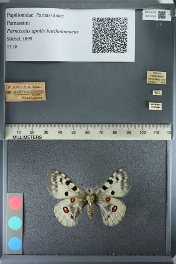 Media type: image;   Entomology 175305